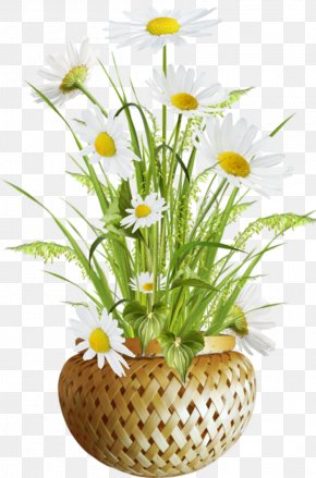 Flower - Flowerpot Image Download PNG