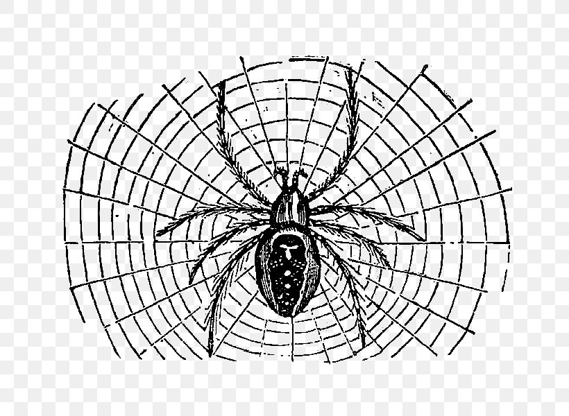 Spider Web Halloween Clip Art, PNG, 761x600px, Spider, Arachnid, Area, Black And White, Craft Download Free