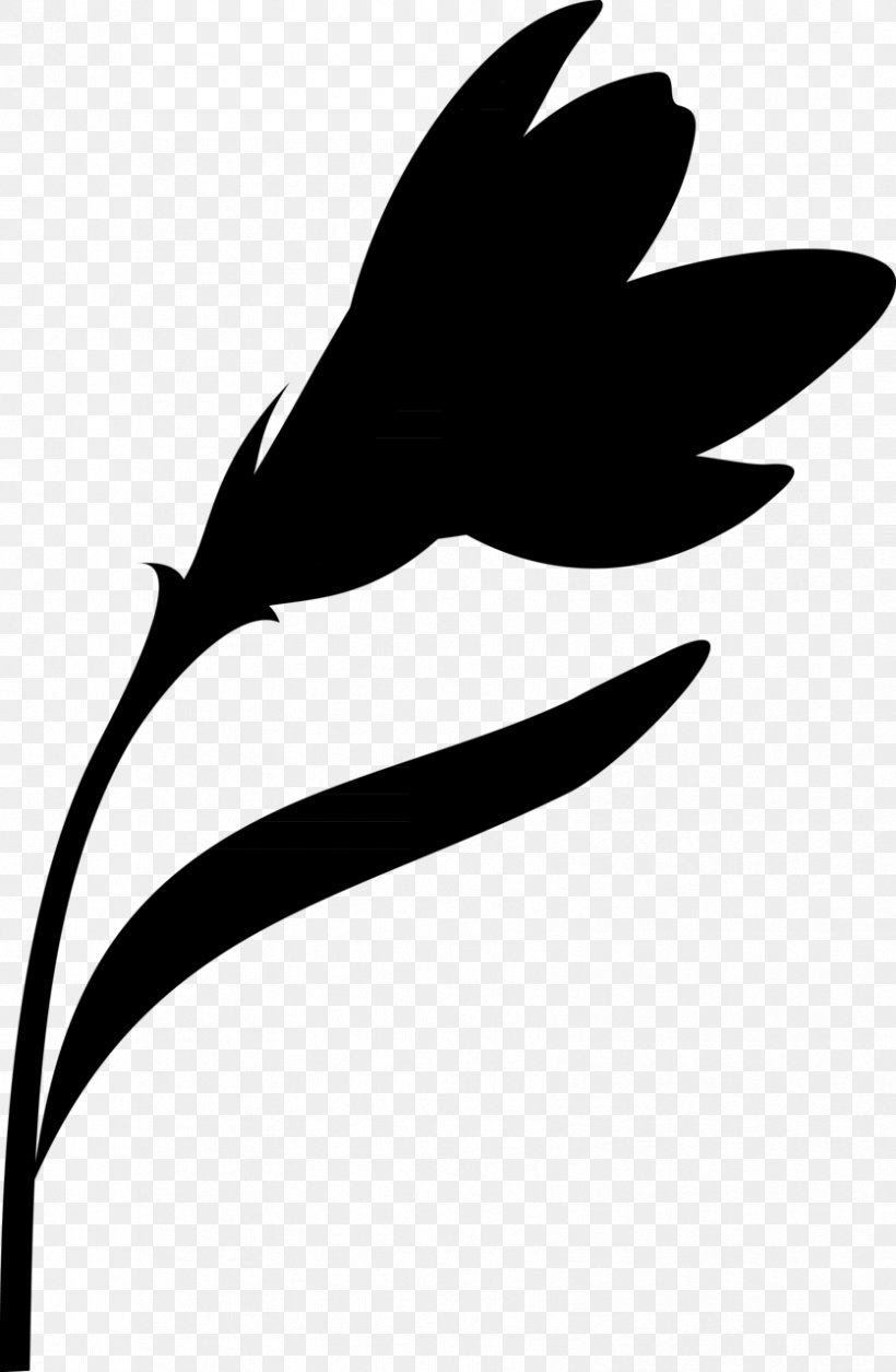 Leaf Clip Art Plant Stem Flower Silhouette, PNG, 836x1280px, Leaf, Beak, Black M, Blackandwhite, Botany Download Free
