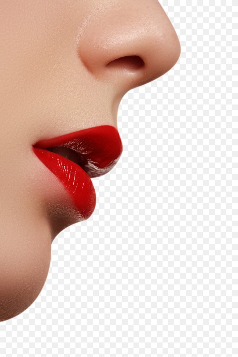 Lip Augmentation Rouge Skin, PNG, 1100x1650px, Lip, Beauty, Cheek, Chin, Close Up Download Free