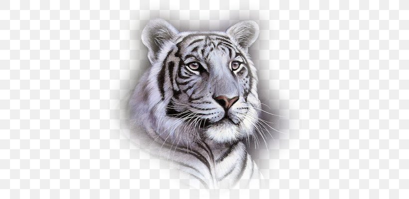 White Tiger Bengal Tiger Big Cat Animal, PNG, 390x400px, White Tiger, Animal, Bag, Bengal, Bengal Tiger Download Free