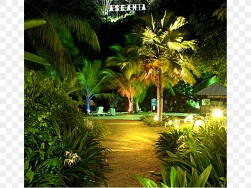 Aseania Resort Langkawi Landscape Lighting, PNG, 1024x768px, Landscape, Arecaceae, Arecales, Botanical Garden, Computer Download Free