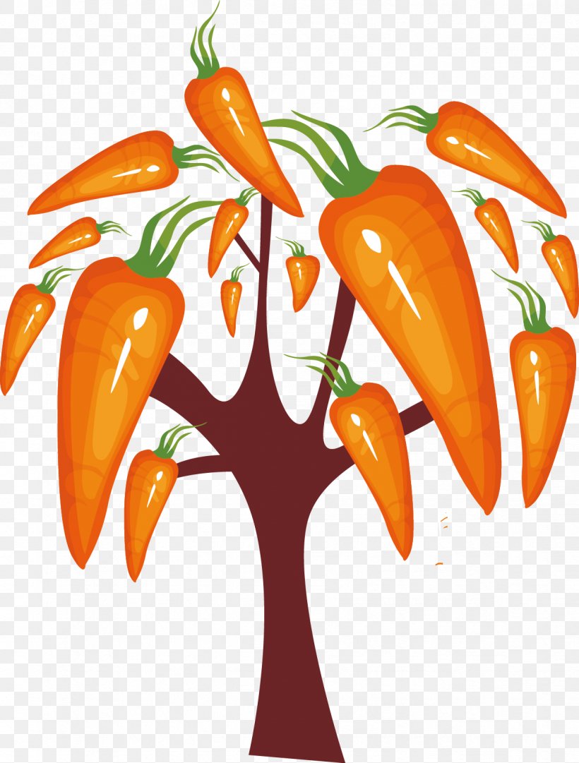Daikon Carrot Vegetable, PNG, 1238x1633px, Daikon, Auglis, Bell Peppers And Chili Peppers, Carrot, Cayenne Pepper Download Free