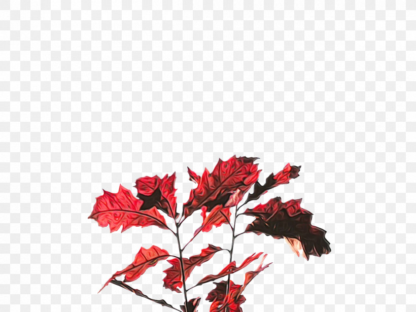 Leaf Twig Maple Leaf / M Meter Red, PNG, 1200x900px, Watercolor, Biology, Flower, Leaf, Maple Leaf M Download Free