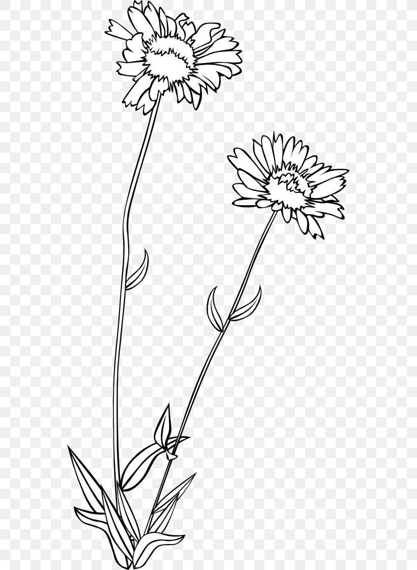 Wildflower Drawing Clip Art, PNG, 555x1120px, Wildflower, Area, Black And White, Branch, Coloring Book Download Free