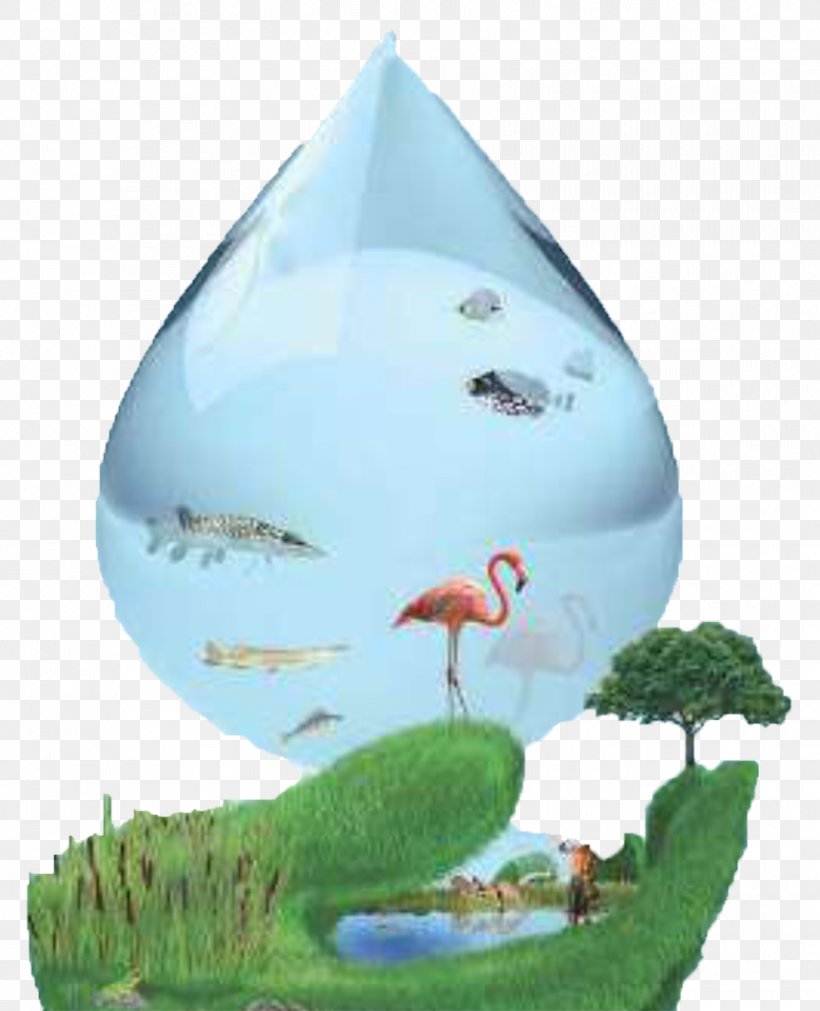 World Wetlands Day Ramsar, Mazandaran World Water Day, PNG, 862x1063px, World Wetlands Day, Datas Comemorativas, Drinking Water, Grass, Mangrove Download Free