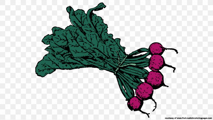 Beetroot Root Vegetables Clip Art, PNG, 1280x720px, Beetroot, Butterfly, Fictional Character, Flowering Plant, Fruit Download Free