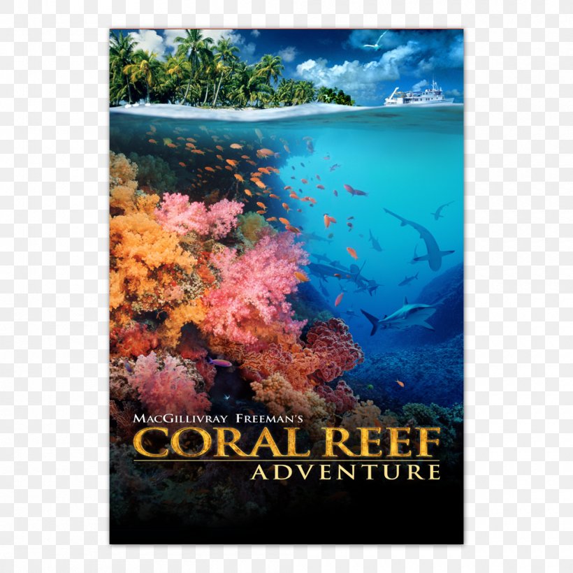Coral Reef IMAX Documentary Film, PNG, 1000x1000px, Coral, Amazon Video, Coral Reef, Coral Reef Fish, Documentary Film Download Free