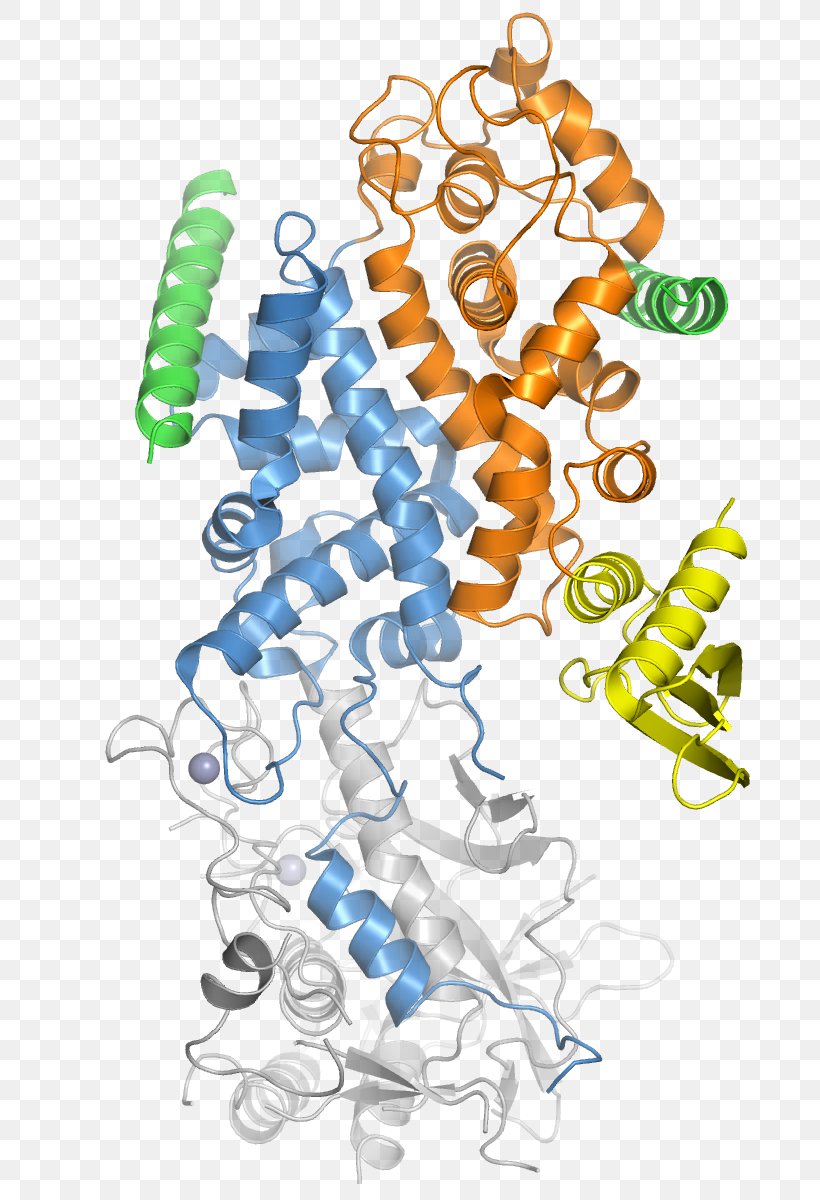 Drosha MicroRNA Ribonuclease III DGCR8, PNG, 700x1200px, Drosha, Area, Cyclindependent Kinase 6, Dicer, Doublestranded Rna Viruses Download Free