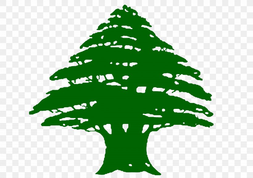 Flag Of Lebanon Phoenicia Cedrus Libani Mount Lebanon, PNG, 4961x3508px, Flag Of Lebanon, Branch, Cedar, Cedrus Libani, Christmas Download Free