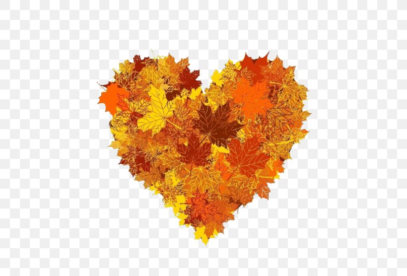 Autumn Royalty-free Stock Photography Illustration Clip Art, PNG, 600x556px, Autumn, Flower, Fotosearch, Heart, Leaf Download Free