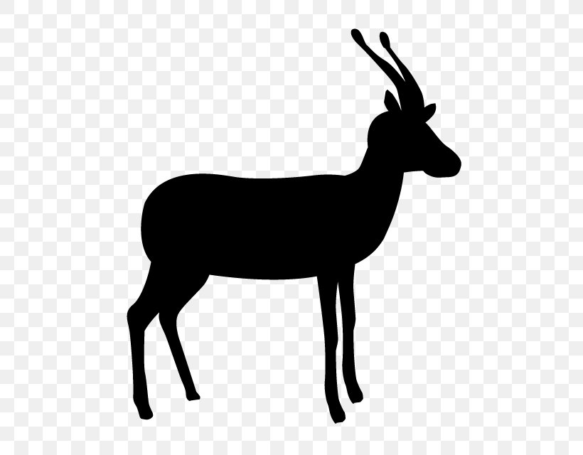 Gazelle Silhouette Royalty-free, PNG, 640x640px, Gazelle, Antelope, Antler,  Black And White, Cow Goat Family Download