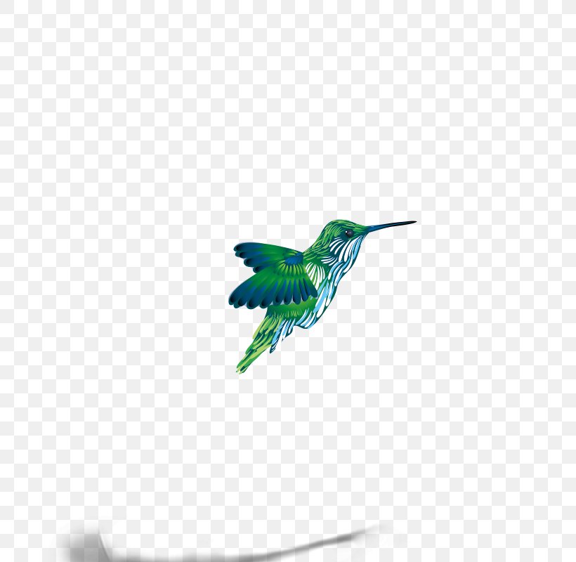 Sparrow Bird Clip Art, PNG, 800x800px, Sparrow, Beak, Bird, Eurasian Tree Sparrow, Fauna Download Free