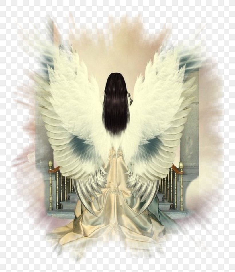 Angels In Judaism Guardian Angel Angel Of God Fairy, PNG, 800x948px, Angel, Angel Of God, Angel Wings, Angels In Judaism, Beak Download Free