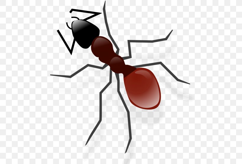Ant Cartoon, PNG, 496x558px, Ant, Bullet Ant, Carpenter Ant, Drawing, Fire  Ant Download Free