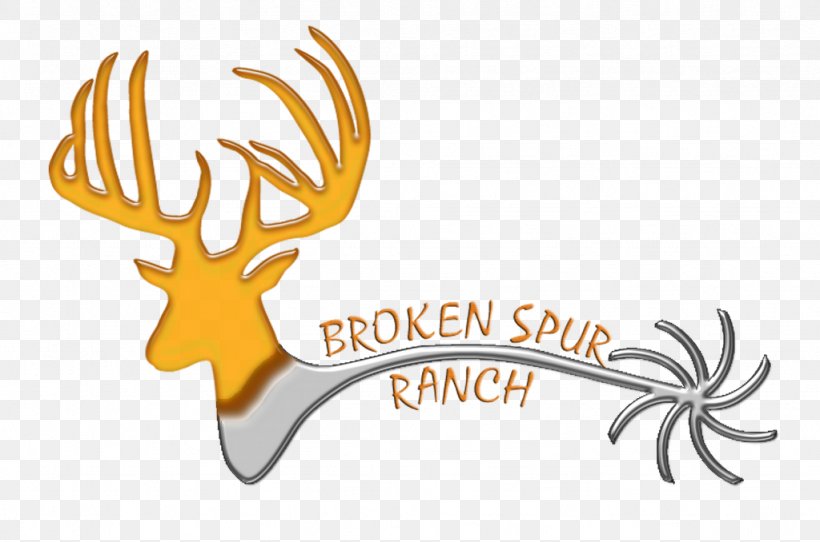 Broken Spur Taxidermy Reindeer Deer Hunting, PNG, 1024x678px, Reindeer, Antler, Barasingha, Brand, Decoy Download Free