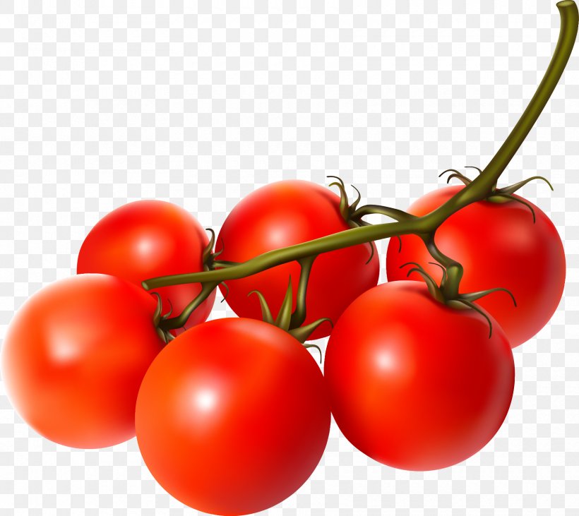Cherry Tomato Vegetable Fruit, PNG, 1720x1534px, Cherry Tomato, Bell Pepper, Bush Tomato, Cherry, Cuisine Download Free