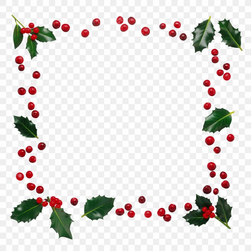 Holly, PNG, 1024x1024px, Holly, Berry, Flower, Fruit, Leaf Download Free