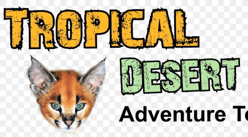 Whiskers Desert Wadi Rum Tiger Climbing, PNG, 1000x555px, Whiskers, Animal, Brand, Canyoning, Carnivoran Download Free