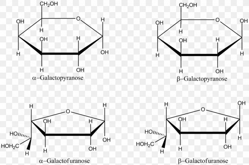 Galactose Haworth Projection Fischer Projection Fructose Furanose, PNG, 1024x681px, Galactose, Anomer, Area, Black And White, Carbohydrate Download Free