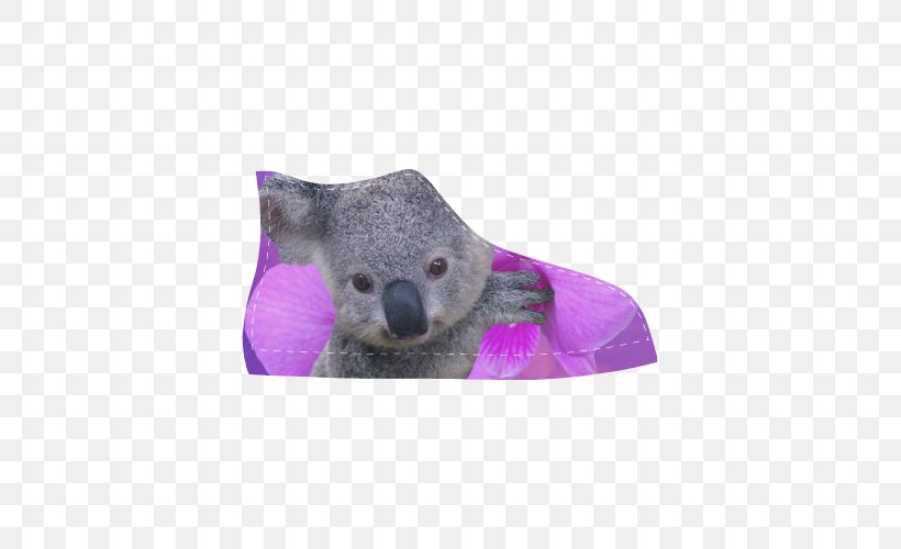 Koala Cougar Bear Cat Billabong Zoo, PNG, 500x500px, Koala, Animal, Baby Koala, Bear, Billabong Zoo Download Free