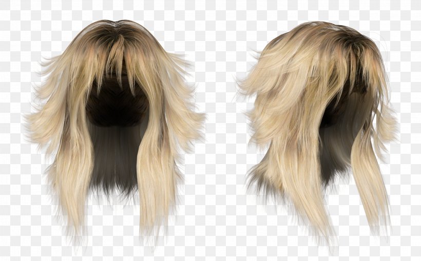 Hairstyle Wig Long Hair, PNG, 2998x1863px, Hair, Beard, Black Hair, Brown Hair, Female Download Free
