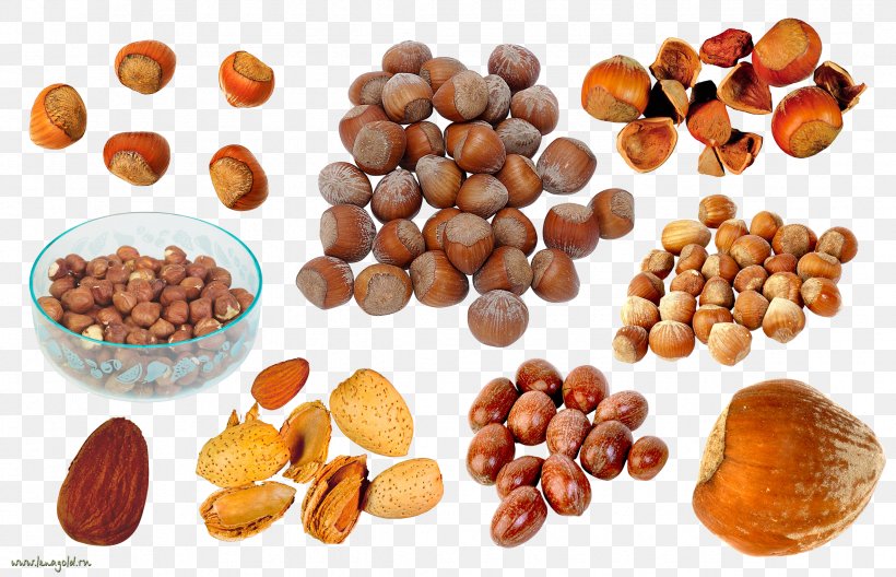 Praline Nuts Walnut, PNG, 2364x1524px, Praline, Almond, Auglis, Bean, Bread Download Free