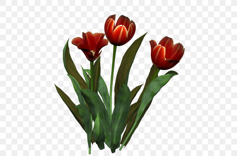 Tulip Flower Bouquet Cut Flowers Floristry, PNG, 500x540px, Tulip, Cut Flowers, Floristry, Flower, Flower Bouquet Download Free