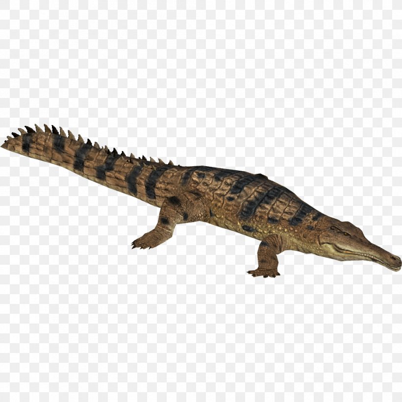 Zoo Tycoon 2 Nile Crocodile Crocodiles Slender-snouted Crocodile Gharial, PNG, 1006x1006px, Zoo Tycoon 2, Animal, Animal Figure, Crocodile, Crocodiles Download Free