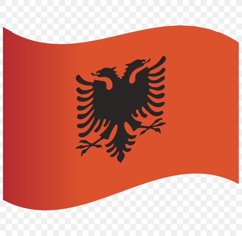 Albanian Declaration Of Independence Flag Of Albania National Flag, PNG, 800x800px, Albania, Albanian Language, Brand, Clothing, Country Download Free