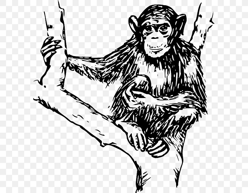 Ape Chimpanzee Monkey Clip Art, PNG, 599x640px, Watercolor, Cartoon, Flower, Frame, Heart Download Free
