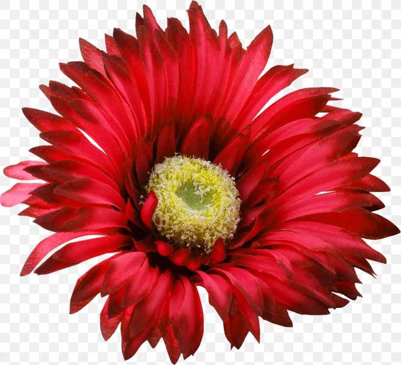 Flower Red Clip Art, PNG, 1200x1092px, Flower, Annual Plant, Aster, Close Up, Color Download Free
