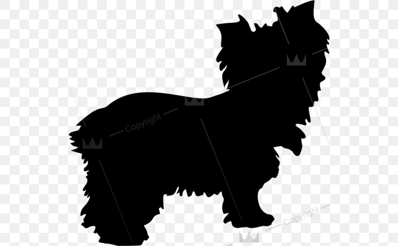 Persian Cat Sticker Dog Decal Polyvinyl Chloride, PNG, 538x507px, Persian Cat, Black, Black And White, Bumper Sticker, Carnivoran Download Free