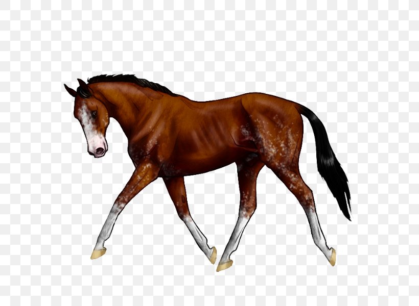 Stallion Foal Rein Colt Equestrian, PNG, 600x600px, Stallion, Bit, Bridle, Colt, Dog Harness Download Free