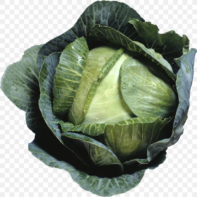 Cabbage Cauliflower Brussels Sprout Broccoli Coleslaw, PNG, 1288x1288px, Cabbage, Brassica Oleracea, Broccoflower, Broccoli, Brussels Sprout Download Free