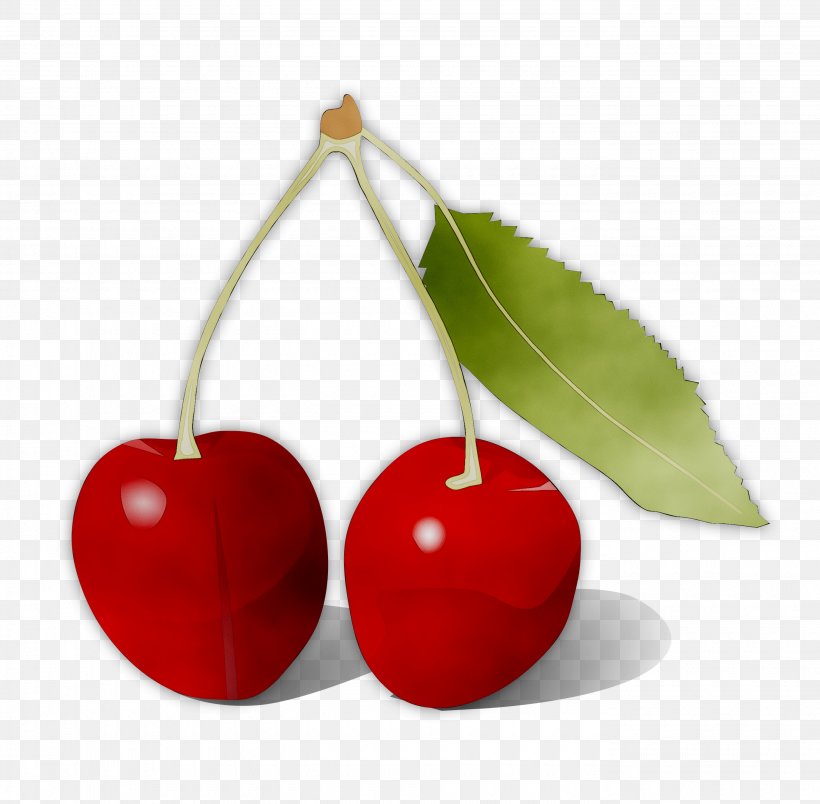 Clip Art Cherries Image Transparency, PNG, 2760x2707px, Cherries, Black Cherry, Cartoon, Cherry, Drupe Download Free