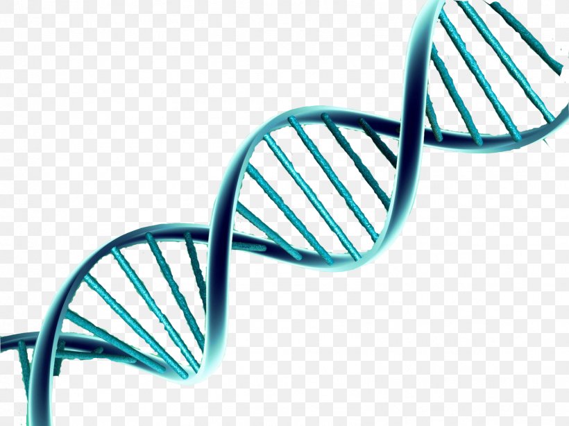 DNA Nucleic Acid Double Helix Vector Genetics, PNG, 1597x1197px, Dna, Adenoassociated Virus, Biology, Cell, Chemistry Download Free