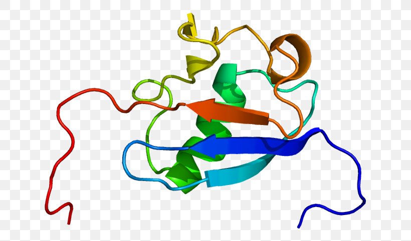 HLA-B Associated Transcript 3 Gene Cluster Protein Scythe, PNG, 691x482px, Watercolor, Cartoon, Flower, Frame, Heart Download Free