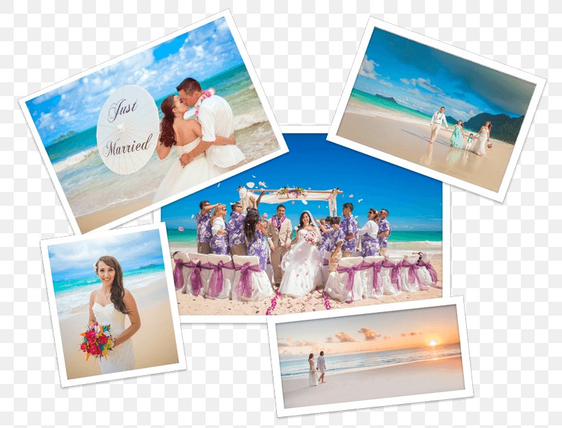 Wedding Chapel Picture Frames Wedding Photography Wedding Reception, PNG, 800x624px, Wedding, Allinclusive Resort, Beach, Ceremony, Collage Download Free