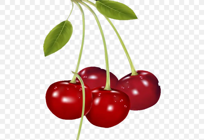 Cherry Pie Fruit Clip Art, PNG, 476x565px, Cherry Pie, Acerola, Acerola Family, Auglis, Barbados Cherry Download Free