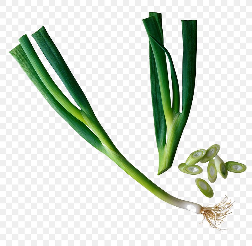 Chinese Cuisine Chives Asian Cuisine Onion Scallion, PNG, 800x800px, Chinese Cuisine, Allium Fistulosum, Asian Cuisine, Chives, Commodity Download Free