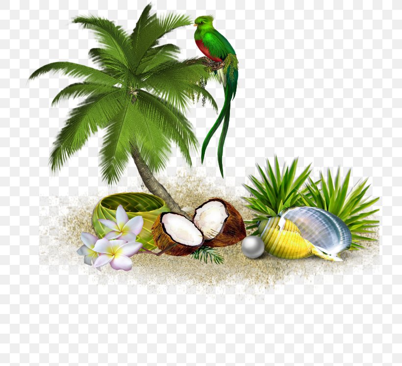 Coconut Tree Cartoon, PNG, 729x746px, Palm Trees, Aquarium Decor, Areca Palm, Arecales, Bird Download Free