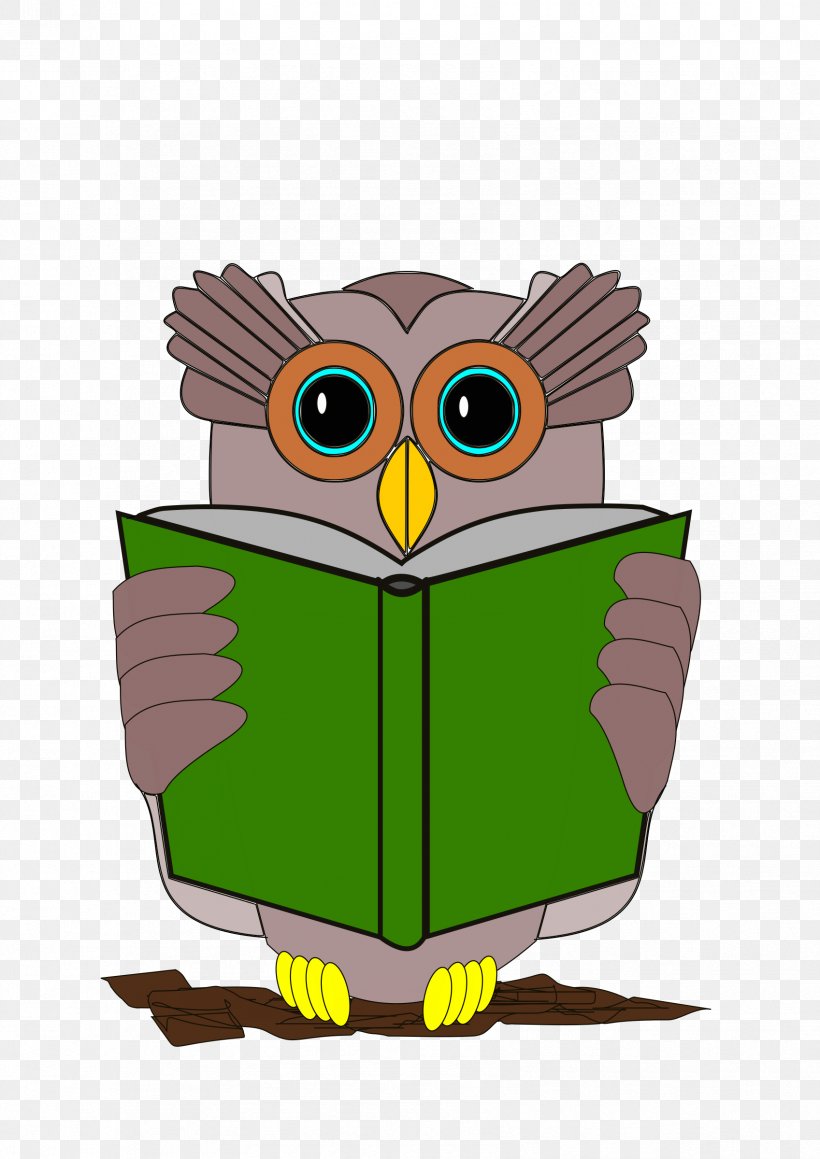 Owl Book Reading Clip Art, PNG, 1697x2400px, Owl, Beak, Bird, Bird Of Prey, Book Download Free