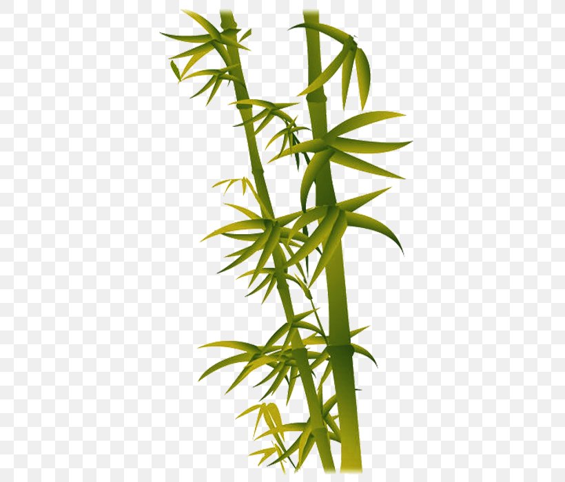 Bamboo If(we) Leaf, PNG, 700x700px, Bamboo, Cannabis, Grass, Grasses, Green Download Free