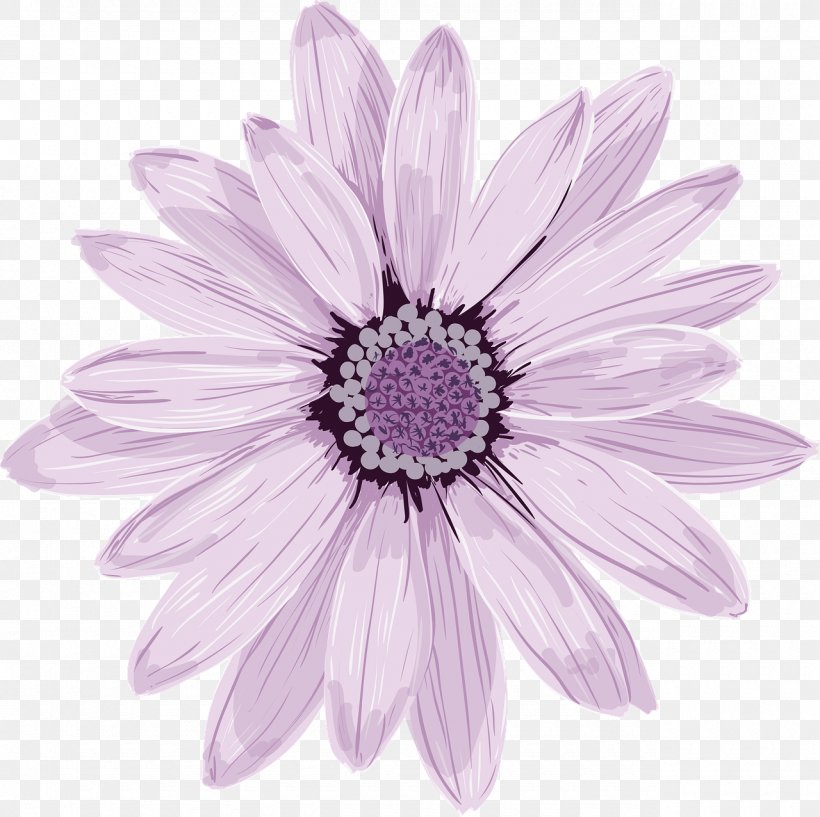 Flower Vector Graphics Art Image, PNG, 1280x1276px, Flower, African Daisy, Annual Plant, Art, Aster Download Free