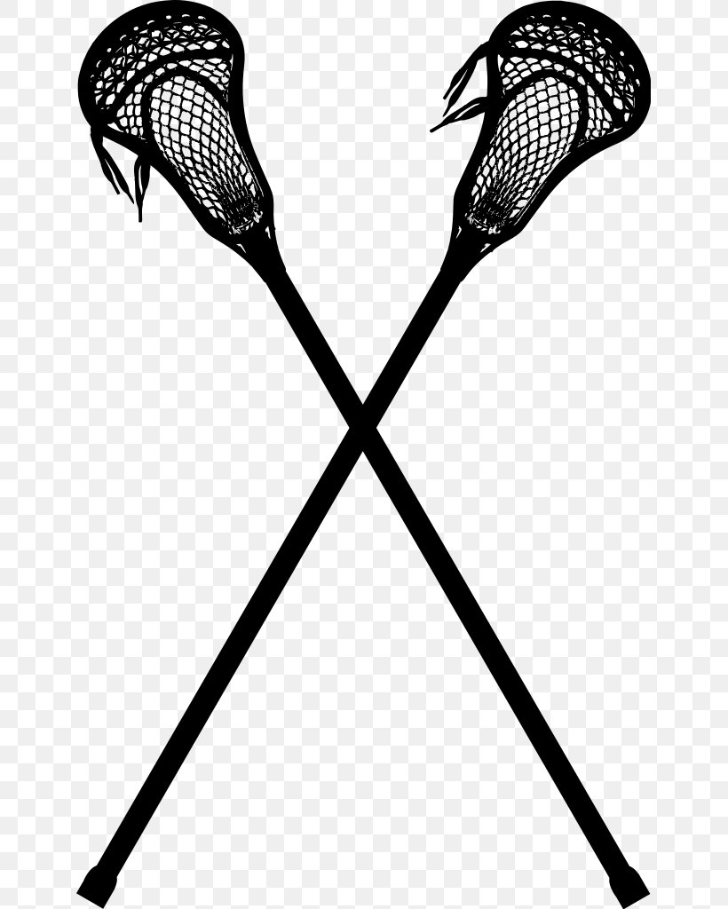 Lacrosse Sticks Hockey Sticks Women's Lacrosse Clip Art, PNG, 647x1024px, Lacrosse Sticks, Ball, Black And White, Branch, Brine Download Free
