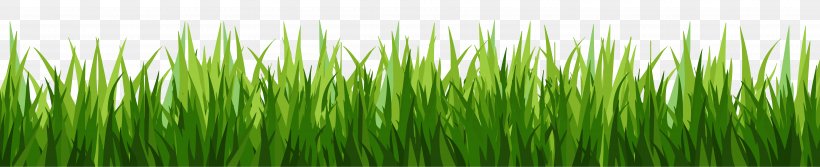 Lawn Desktop Wallpaper Clip Art, PNG, 14275x2918px, Lawn, Blog, Chrysopogon Zizanioides, Email, Grass Download Free