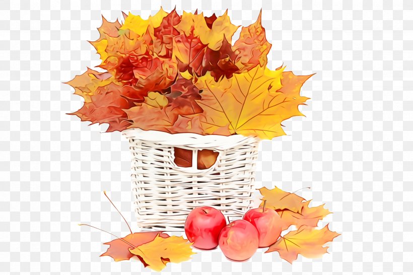 Maple Leaf, PNG, 2448x1632px, Watercolor, Autumn, Cut Flowers, Flower, Leaf Download Free