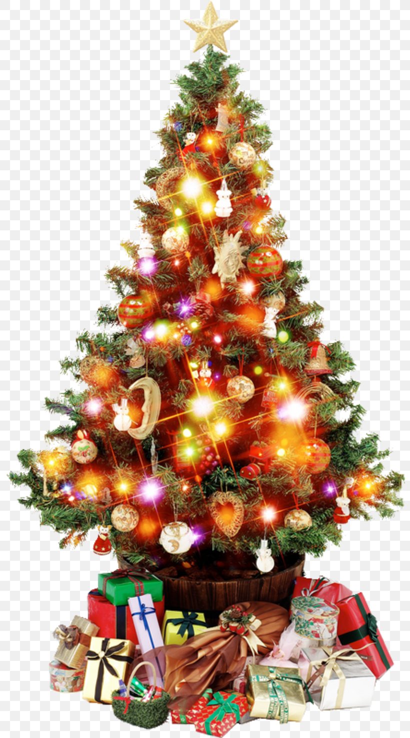 Artificial Christmas Tree Clip Art, PNG, 800x1474px, Christmas Tree, Artificial Christmas Tree, Christmas, Christmas Decoration, Christmas Lights Download Free