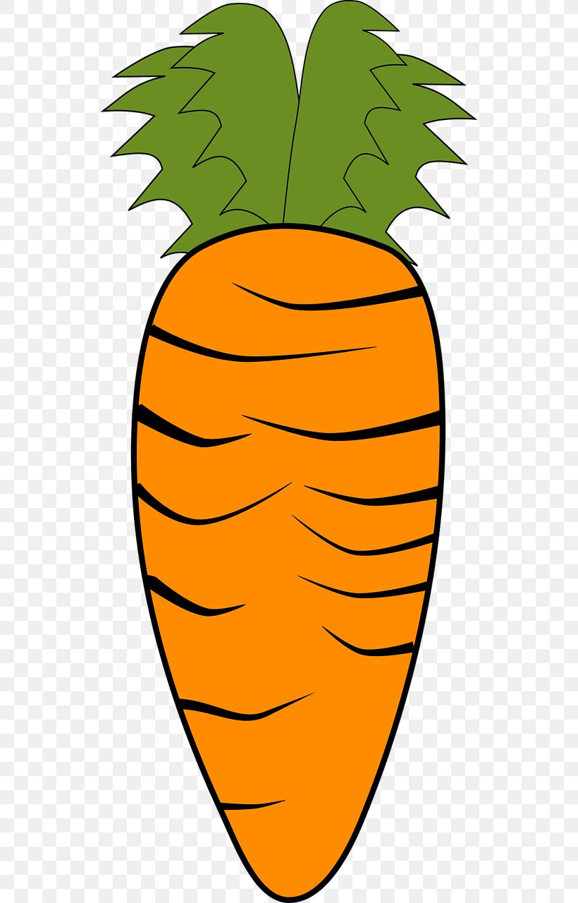 Carrot Vegetable Organic Food Clip Art, PNG, 640x1280px, Carrot, Ananas, Artwork, Baby Carrot, Drawing Download Free